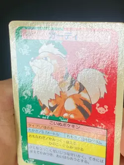 JAPANESE POKEMON GROWLITHE No.058 TOPSUN BLUE BACK CANINOS - EXC+ - Image 2
