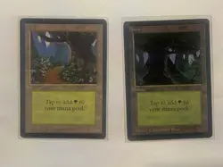 🔥MTG Magic The Gathering Lot Of 2 Beta Forest Basic Land Cards🔥 - Image 1