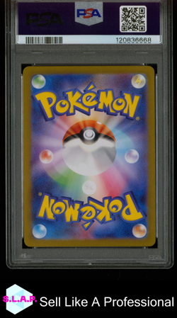 WARTORTLE ART RARE POKEMON JAPANESE SV2A-POKEMON 151 2023 171 PSA 8 - Image 2