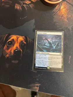 Mtg Watery Grave - Edge of Eternities + Bonus Foils - Image 1