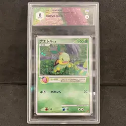 POKEMON TURTWIG 001/PPP FAN CLUB PROMO 2,000 EXP PTS. JAPANESE Graad 8 - Image 1