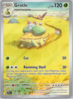Grotle 164/162 Illustration Rare Temporal Forces Pokemon Near Mint - Image 1