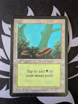 Forest (A)(Rocks) ~ Alpha [Slightly Played][Magic MTG] - Image 1