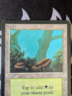 Forest (A)(Rocks) ~ Alpha [Slightly Played][Magic MTG] - Image 2