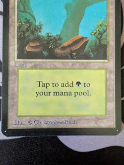 Forest (A)(Rocks) ~ Alpha [Slightly Played][Magic MTG] - Image 3