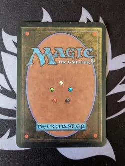 Forest (A)(Rocks) ~ Alpha [Slightly Played][Magic MTG] - Image 4