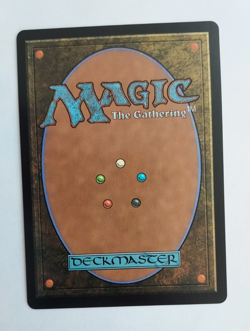 Fountainport – Bloomburrow BLB – NM Rare Land MTG - Token Interactive - Image 2