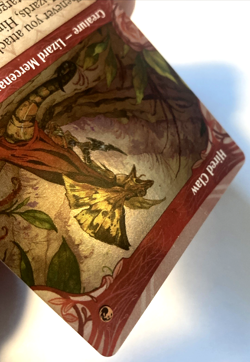 MTG Hired Claw (Showcase Foil) Bloomburrow 317 NM - Image 4