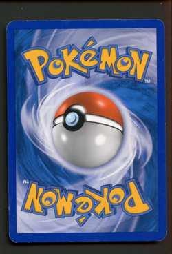 Turtwig DP01 Heavily Played Holo Black Star Promo Pokemon Card - Image 2