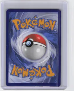 Pikachu Promo SWSH: Sword & Shield Promo Cards SWSH234 NM - Image 2