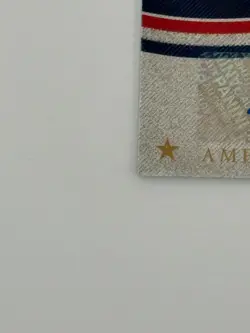 2025 Boys of Summer Brooks Lee Holo Gold American Glory Signatures /10 #AGS-BL - Image 4