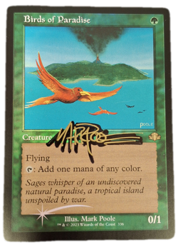 Birds of Paradise Birds of Paradise -- Retro Frame - Foil Signed Mark Poole Domi - Image 1