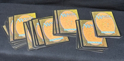 MtG: Vintage BASIC LAND 47 Lot Magic the Gathering Kamigawa, Ravnica - Image 3