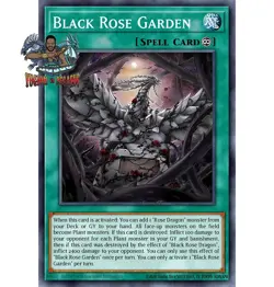Yugioh! 1x Black Rose Garden DOOD-EN055 Ultra Rare 1st Ed NM - Image 1