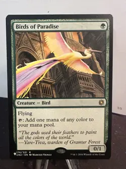MTG Birds of Paradise - CN2 - Image 1