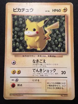 Ivy Pikachu Nr. 025 Non Glossy Keiji Kinebuchi Promo Japanese Pokemon Card - Image 1