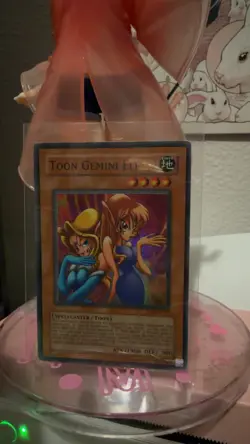 Toon Gemini Elf DB2-EN119 Common Dark Beginning 2 Yu-Gi-Oh Unlimited HP - Image 1