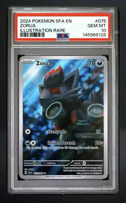 2024 Pokemon Shrouded Fable Zorua 075/064 Illustration Rare PSA 10 GEM MINT IR - Image 1