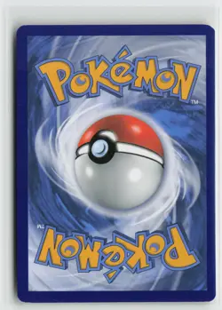 Oshawott Holo Promo SWSH: Sword & Shield Promo Cards SWSH222 NM - Image 2