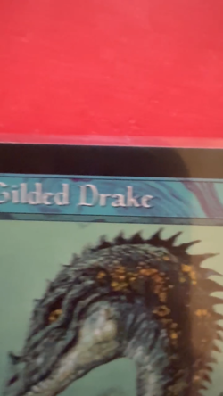 Gilded Drake Urza's Saga Never Been Played Near Mint/Mint Video - Image 2