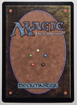 Der Kohlhandler The Cabbage Merchant - Avatar TLA TLE - Foil - MTG - Image 5