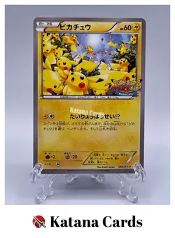 EX/NM Pokemon Cards Pikachu PROMO 069/XY-P XY-P Japanese - Image 1