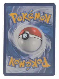 Garbodor VMAX 216/203 Evolving Skies Rainbow Secret Rare Pokemon NM - Image 2
