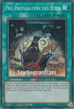 Yu-Gi-Oh! Pre-Preparation des Rites : SR RA01-FR055 - Image 1