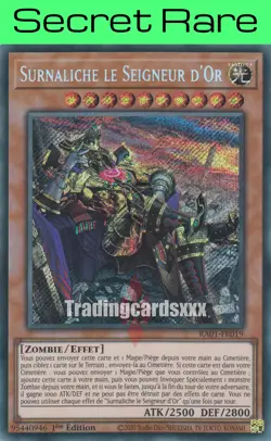 Yu-Gi-Oh! Surnaliche le Seigneur d'Or - V.2 : SE RA01-FR019 - Image 1