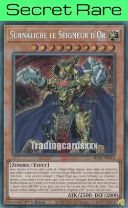 Yu-Gi-Oh! Surnaliche le Seigneur d'Or - V.1 : SE RA01-FR019 - Image 1