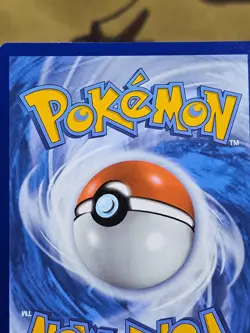 Pokemon Tornadus (Pokemon Center Exclusive) SVP 210 Scarlet & Violet Promo LP - Image 3