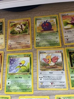 *No Dupes* Lot Of 20 Jungle Pokemon Cards Vintage WOTC Non-Holo Commons/Bulk - Image 3