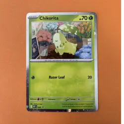 Pokemon TCG Chikorita Black Star Promo MEPI 069 Holo Rare - Image 1