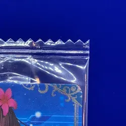 Scathach Assassin Fate Grand Order Wafer Card FGO BANDAI TCG Japanese Vol.4 N10 - Image 3