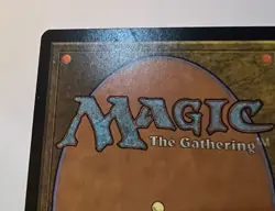 Magic The Gathering Arena Forest 2001 Beta Art Foil Arena Promo Card LP - Image 5