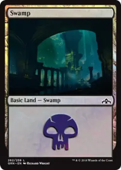 Swamp (262) Light Play, English Magic the Gathering MTG Guilds of Ravnica - Image 1