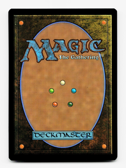 Chittering Witch [Commander: Tarkir Dragonstorm] MTG Magic NM/M 💀 - Image 2