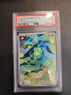 Pokemon TCG Budew 221/217 Ascended Heroes Illustration Rare Holo PSA 10 EN - Image 1