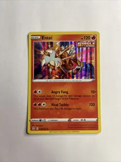 Entei 019/203 Holo Rare - 2021 Pokemon Evolving Skies NM - Image 1