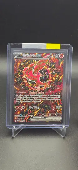 Oricorio ex 024 Holo Promo ME: Mega Evolution Promo Pokemon Near Mint - Image 1