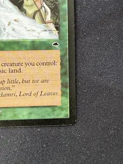 Earthcraft LP MTG - Image 4
