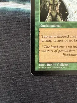 Earthcraft LP MTG - Image 5