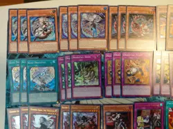 Yugioh Dracotail Deck Core - Image 2