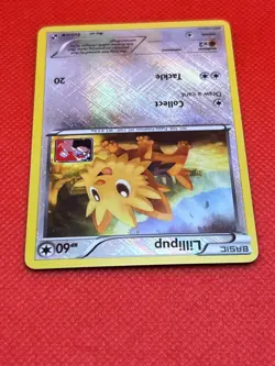 Pokemon Tcg Lillipup 81/114 Reverse Holo Rare Pokemon League Promo - Image 3