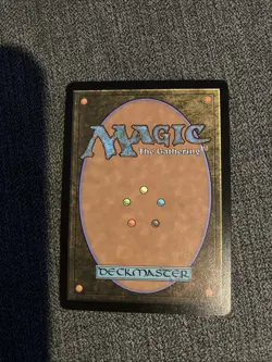 Yavimaya Coast (Borderless) Dominaria United Regular Mtg - Image 2