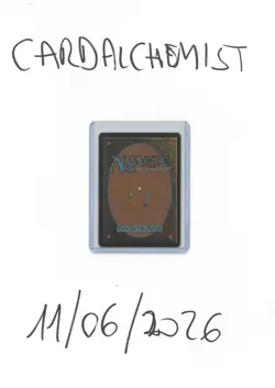 Tutore Demoniaco - Demonic Tutor - Magic the Gathering - FWB Revised Italian ed. - Image 2