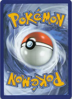 Mega Meganium ex Holo Promo Jumbo Cards 034 NM - Image 2