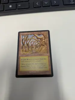 Gaea's Cradle USG Playtest X 1 - Image 1