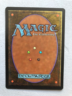 Mtg Carte Magic Fbb Royal Assassin Black Border Japan Jpn NM - Image 2