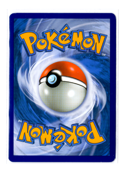 Gyarados 040/192 Holo Rebel Clash Pokemon Card AUS - Image 2